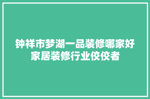 钟祥市梦湖一品装修哪家好家居装修行业佼佼者 折叠门