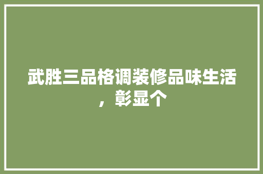 武胜三品格调装修品味生活，彰显个