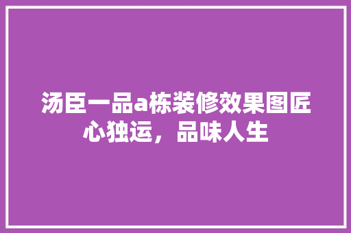 汤臣一品a栋装修效果图匠心独运，品味人生