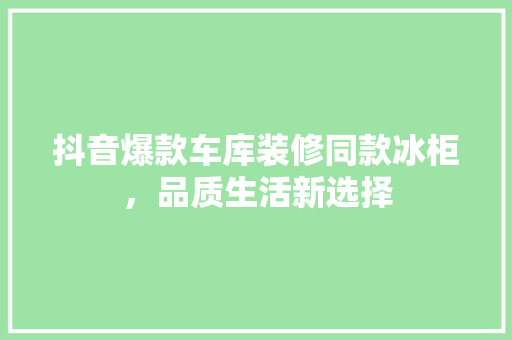 抖音爆款车库装修同款冰柜，品质生活新选择 折叠门
