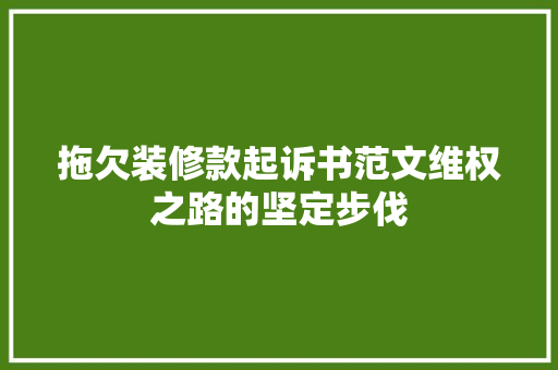拖欠装修款起诉书范文维权之路的坚定步伐