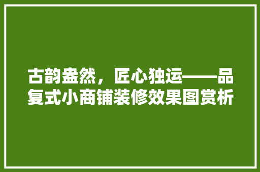 古韵盎然，匠心独运——品复式小商铺装修效果图赏析