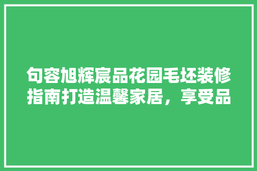 句容旭辉宸品花园毛坯装修指南打造温馨家居，享受品质生活