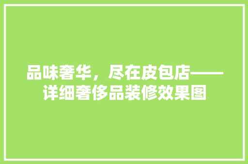品味奢华，尽在皮包店——详细奢侈品装修效果图