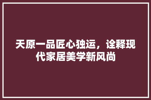 天原一品匠心独运，诠释现代家居美学新风尚