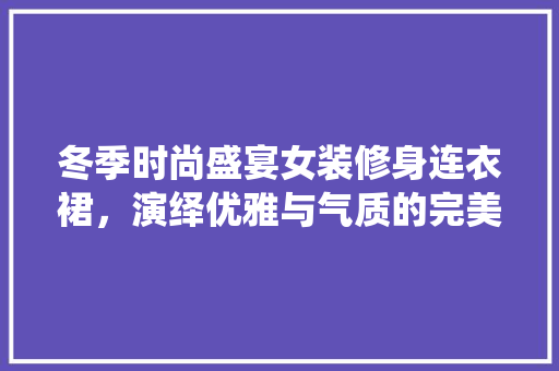冬季时尚盛宴女装修身连衣裙，演绎优雅与气质的完美融合