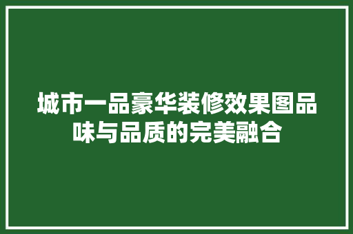 城市一品豪华装修效果图品味与品质的完美融合