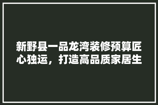 新野县一品龙湾装修预算匠心独运，打造高品质家居生活