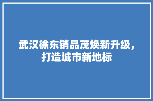 武汉徐东销品茂焕新升级，打造城市新地标