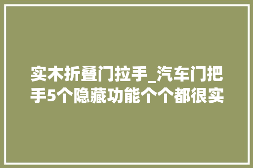 实木折叠门拉手_汽车门把手5个隐藏功能个个都很实用学会后开车更安然 推拉门