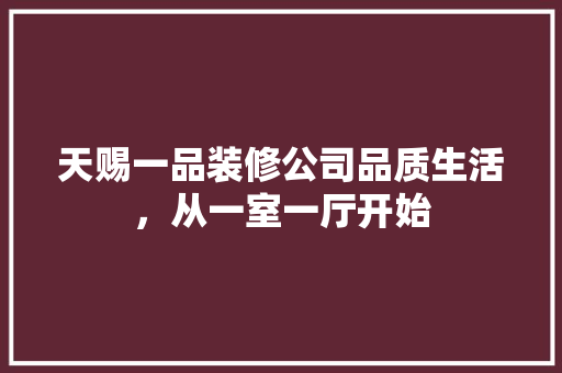 天赐一品装修公司品质生活，从一室一厅开始