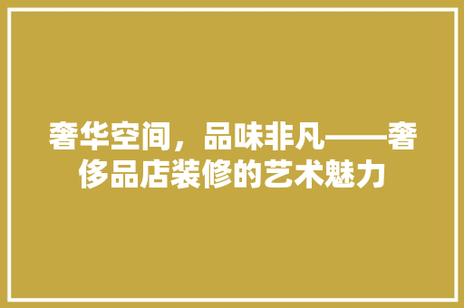 奢华空间，品味非凡——奢侈品店装修的艺术魅力