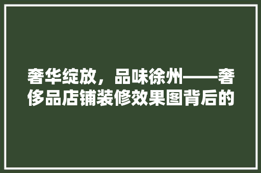 奢华绽放，品味徐州——奢侈品店铺装修效果图背后的艺术与匠心