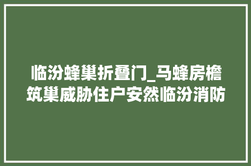 临汾蜂巢折叠门_马蜂房檐筑巢威胁住户安然临汾消防迅速出动消除隐患 实木门