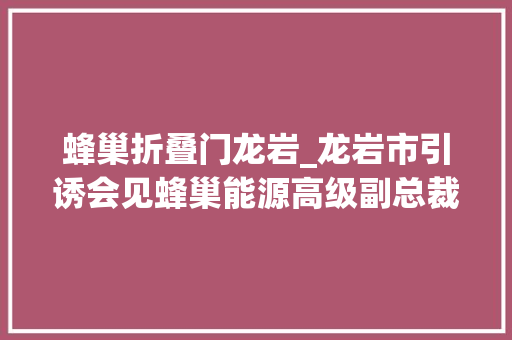 蜂巢折叠门龙岩_龙岩市引诱会见蜂巢能源高级副总裁一行