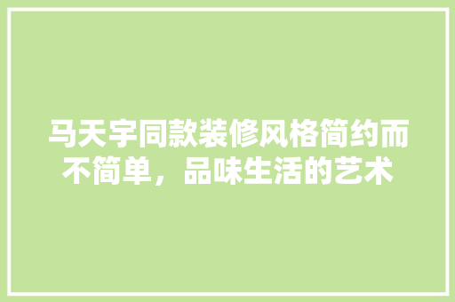 马天宇同款装修风格简约而不简单，品味生活的艺术