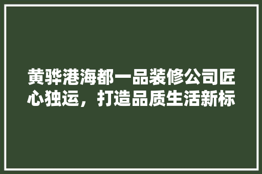 黄骅港海都一品装修公司匠心独运，打造品质生活新标杆