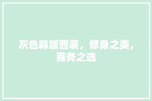 灰色韩版西装，修身之美，商务之选