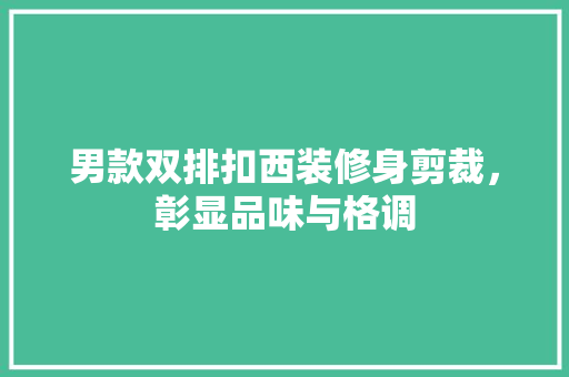 男款双排扣西装修身剪裁，彰显品味与格调