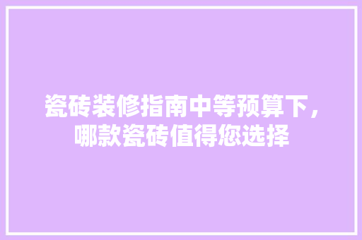 瓷砖装修指南中等预算下，哪款瓷砖值得您选择