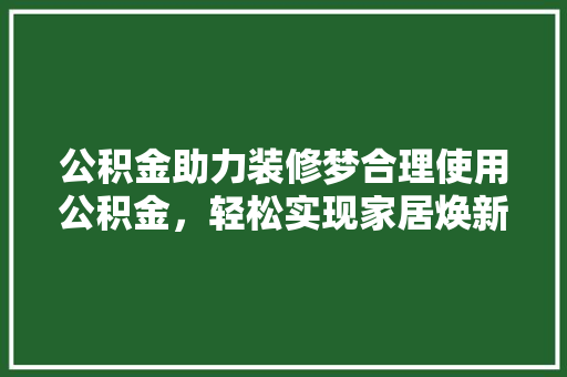 公积金助力装修梦合理使用公积金，轻松实现家居焕新