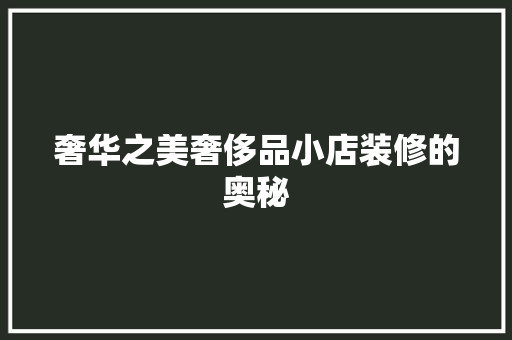 奢华之美奢侈品小店装修的奥秘